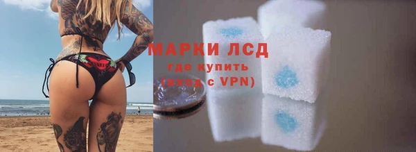 прущие грибы Новодвинск